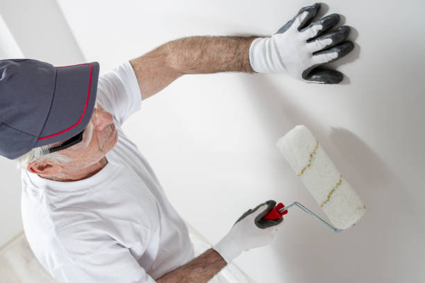 Best Comprehensive Air Testing for Mold Contaminants  in Centreville, MD