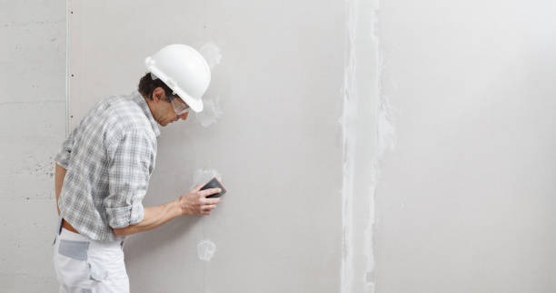 Best Attic Mold Removal  in Centreville, MD