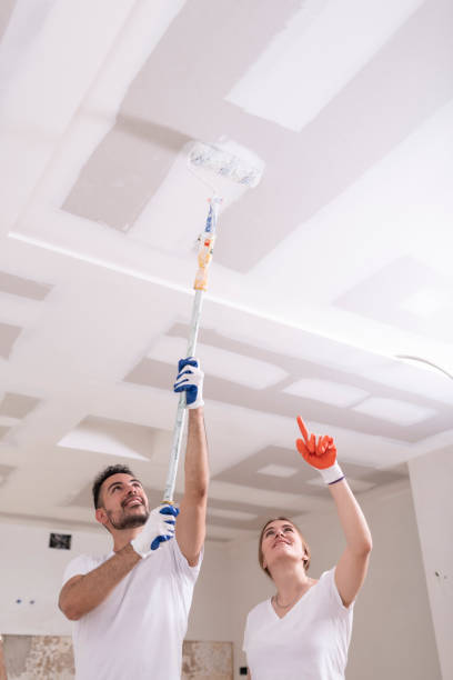 Mold Odor Removal Services in Centreville, MD