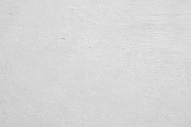 Centreville, MD Mold Removal Company