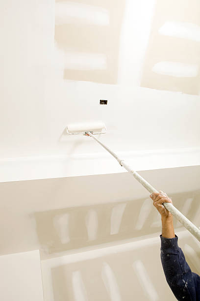 Environmental Consulting for Mold Prevention in Centreville, MD